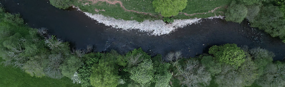 LFW 2025 (12)_edited.jpg