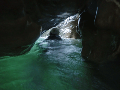 montmin-eau-canyoning-haute-savoie.gif