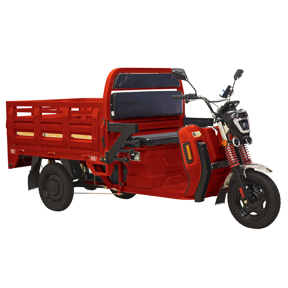Thumbnail: 2024 Massimo Cargo Max E-Trike