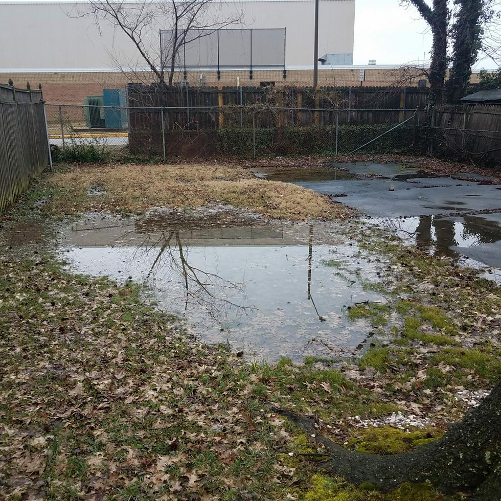 Sewage backing up into a bathtub due to a damaged or blocked sewer line