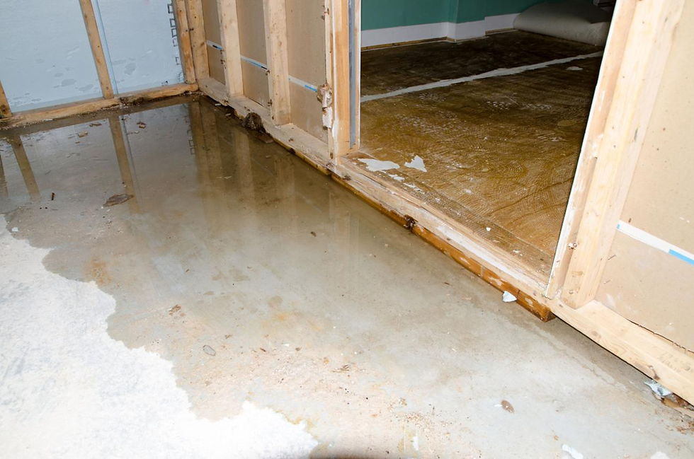 Indoor flooding along a wall caused by a drain backup or plumbing leak affecting flooring and structure