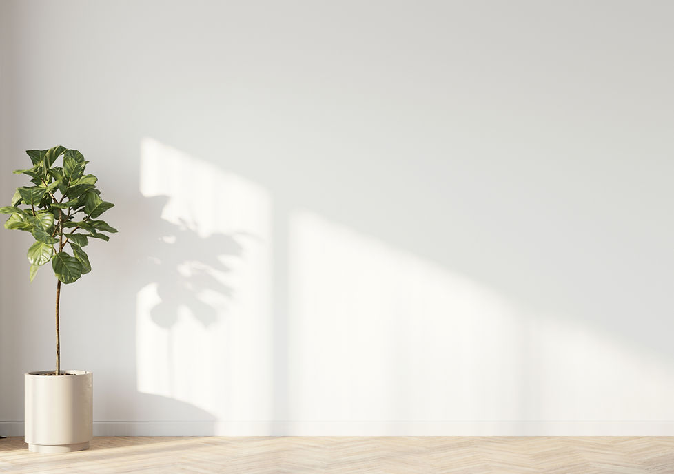 Plant is empty office decor pic at the Office Event LLC