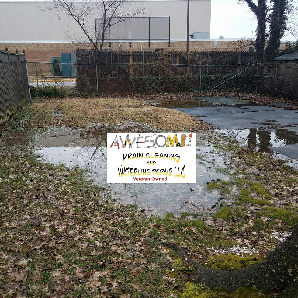 Signs of a Sewer Line Leak: What to Watch For Before Damage Gets Worse