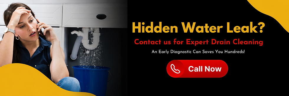 Woman sitting beside a leaking sink cabinet while speaking on the phone next to a banner that reads “Hidden Water Leak?” with a call-to-action for expert drain cleaning services.