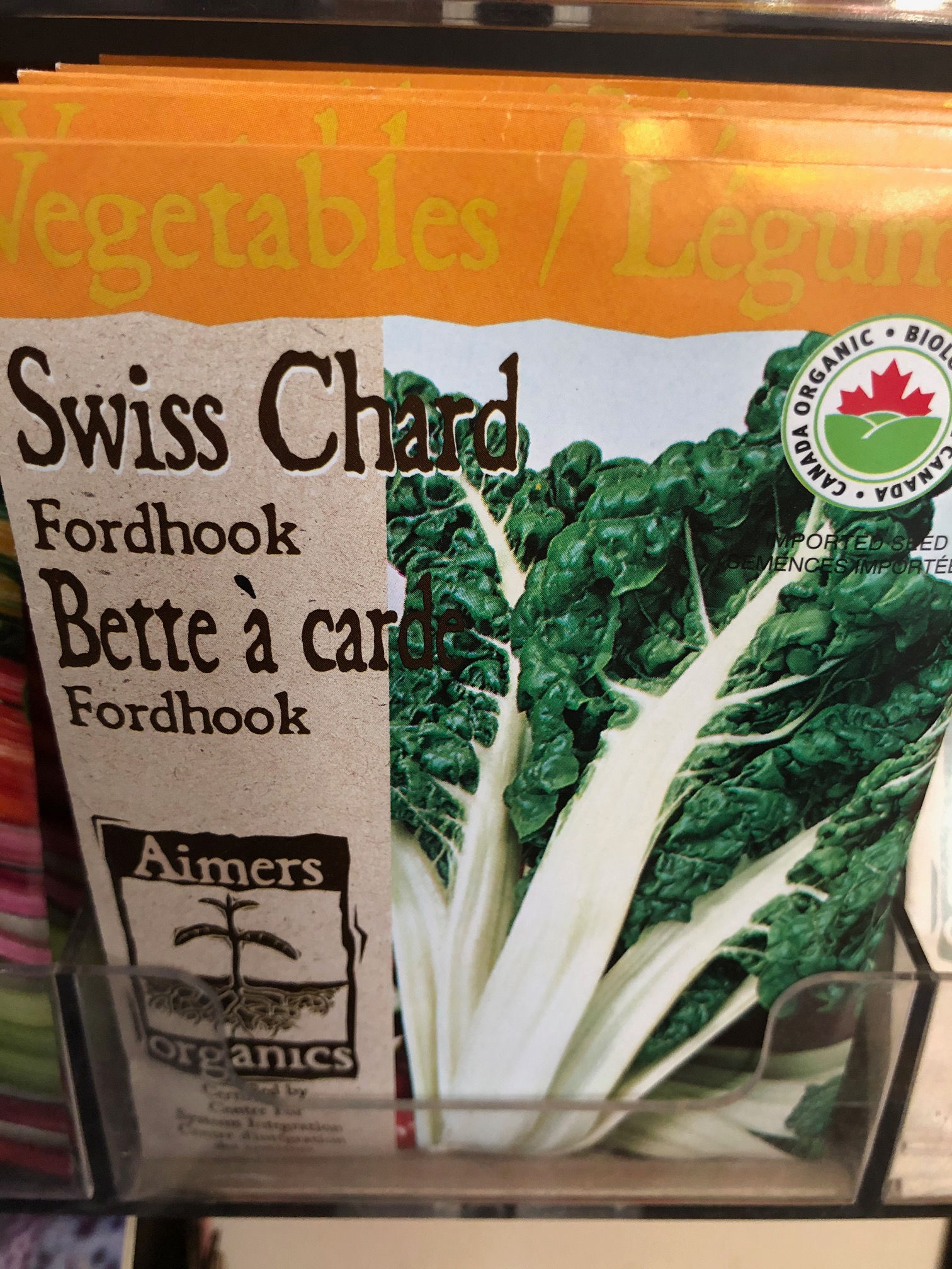 Swiss Chard Fordhook  -  Aimers Organic