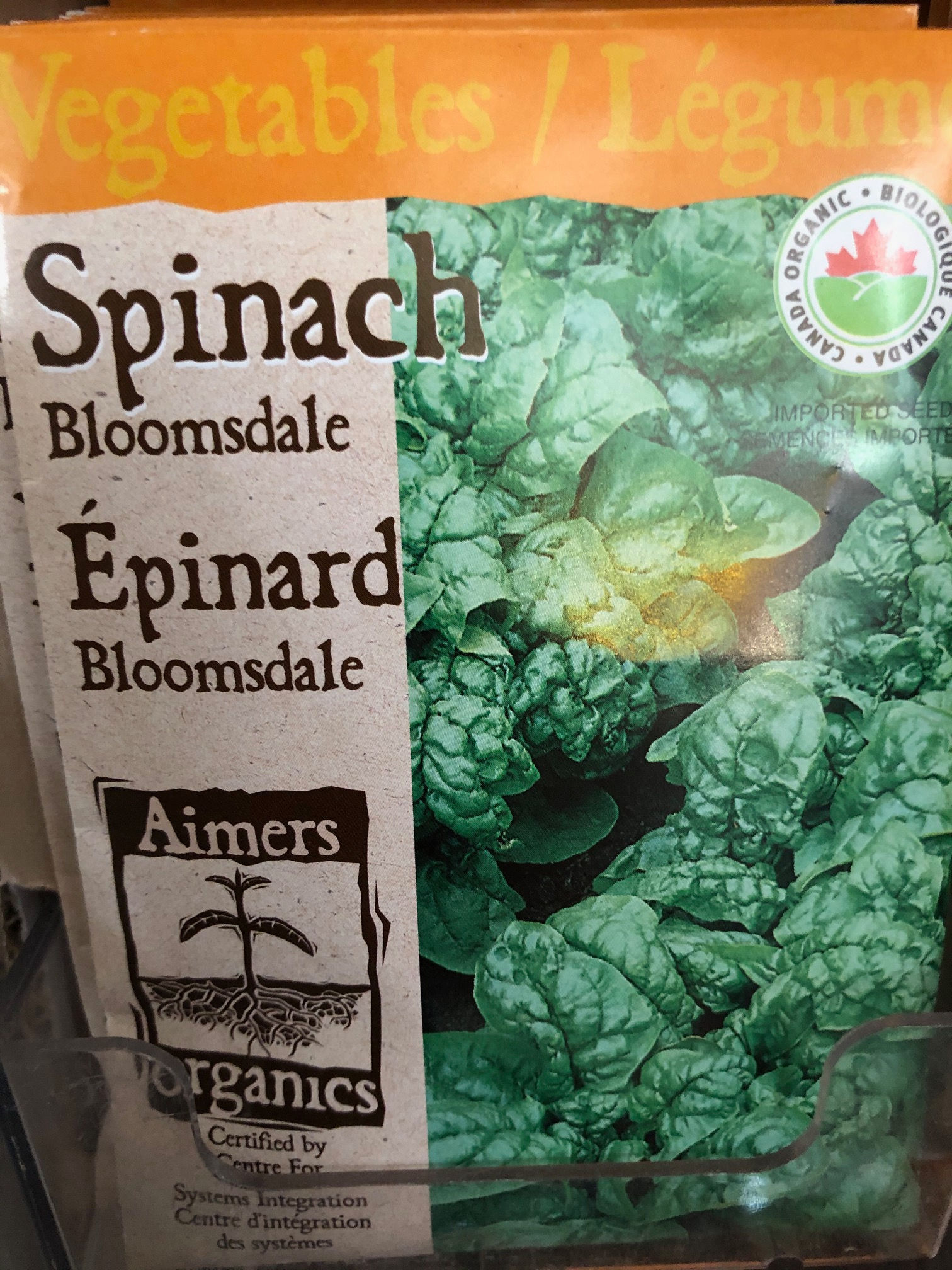 Spinach Bloomsdale  -  Aimers Organic