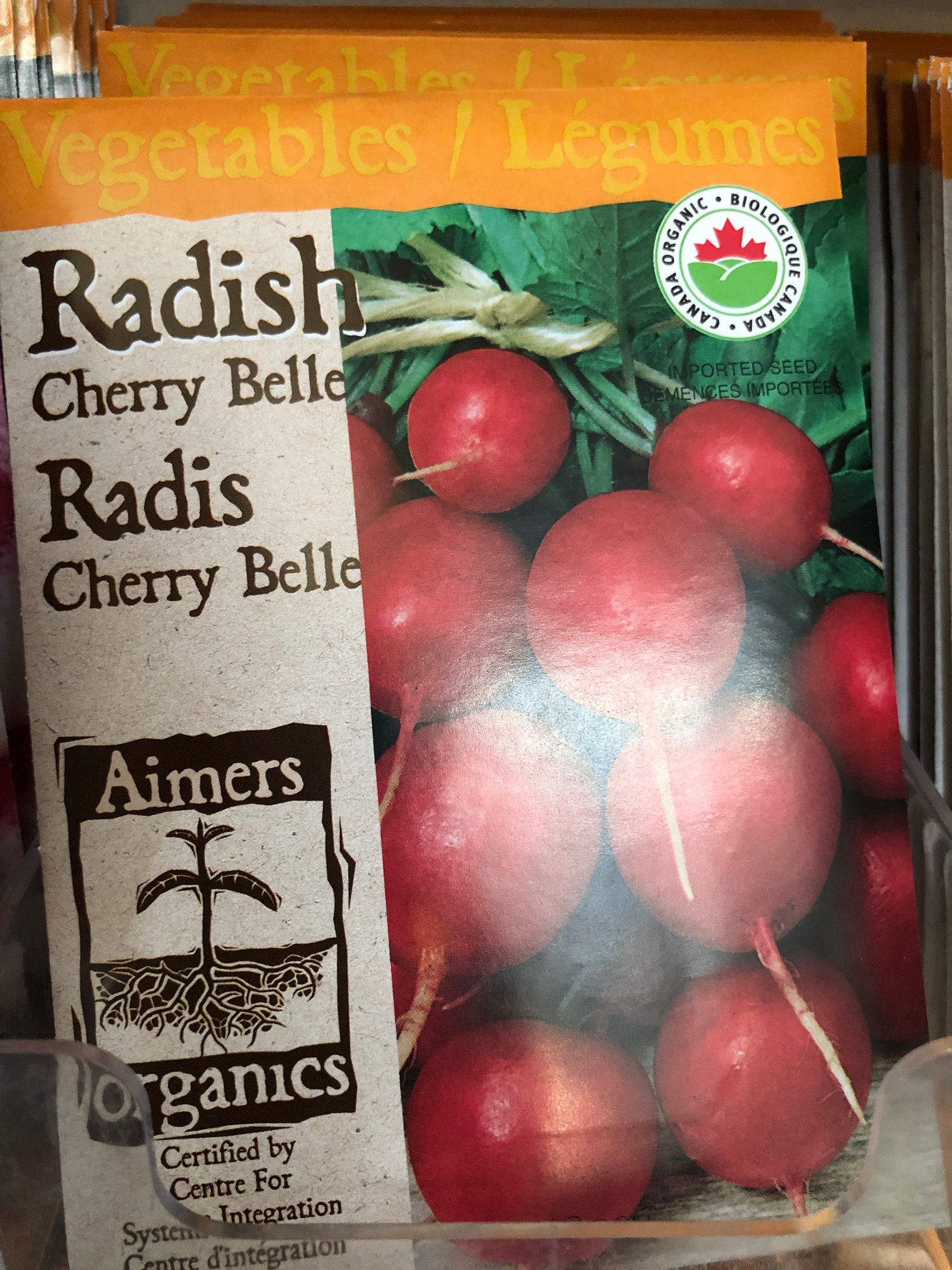 Radish Cherry Belle  -  Aimers Organic