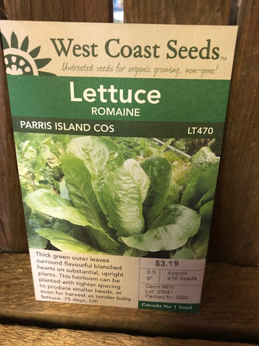 Seeds 500 Paris Island Cos Lattuga Romain 2017 (all Non-ogm Seeds - Foto 4