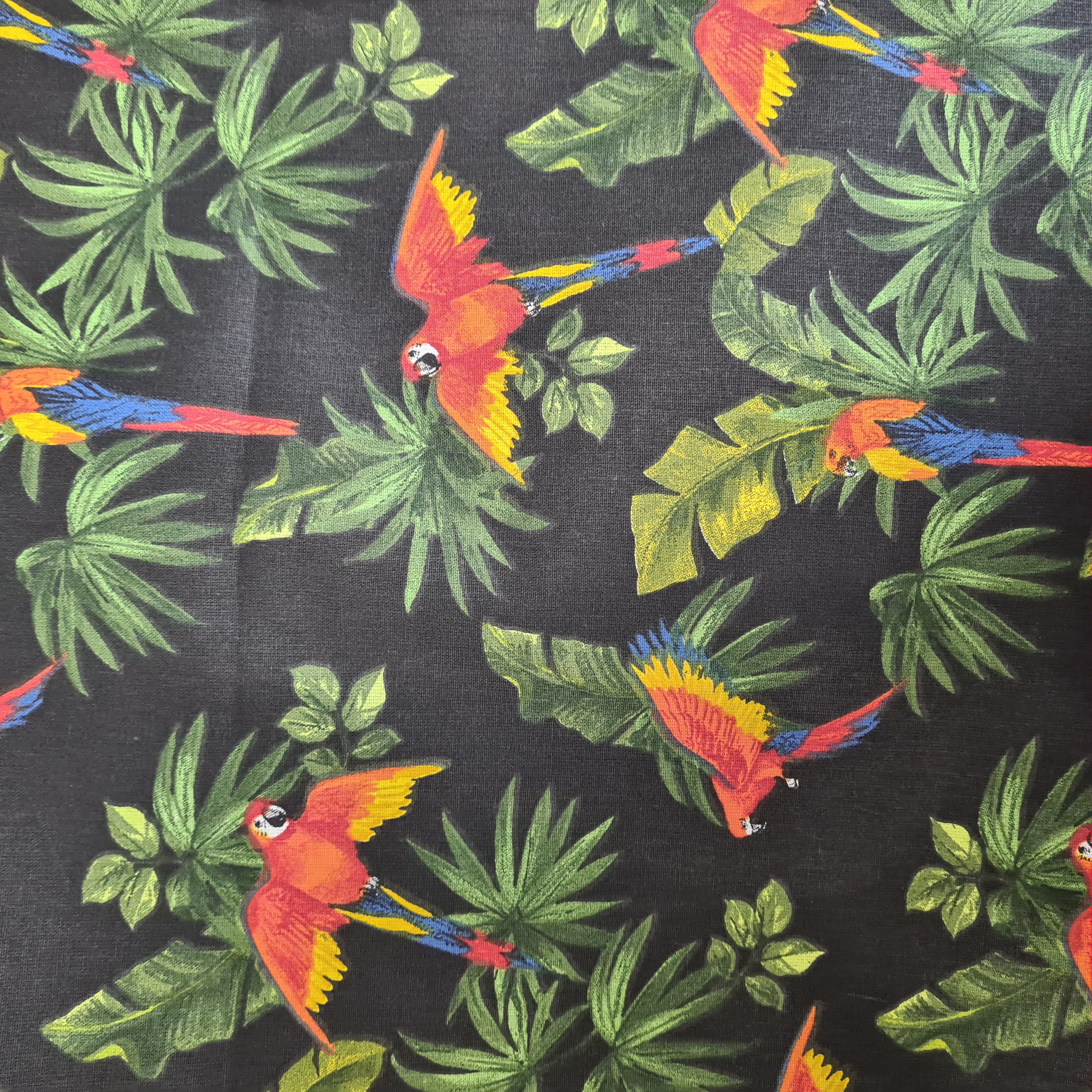 SC Ara-Tropical