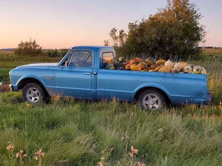 A 1976 GMC loaded with pumpkins.