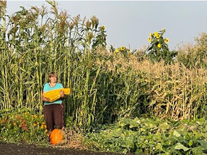 Lorissa holding a Lunch Lady gourd  surrounded by a jungle of corn and broom corn.