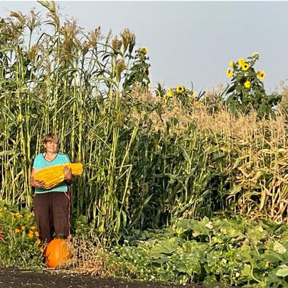 Lorissa holding a Lunch Lady gourd  surrounded by a jungle of corn and broom corn.