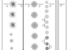 The Archaic Garden Plan