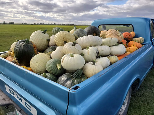 Cover photo.jpg