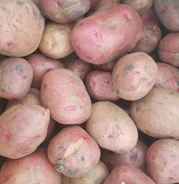 Is that a Potato?