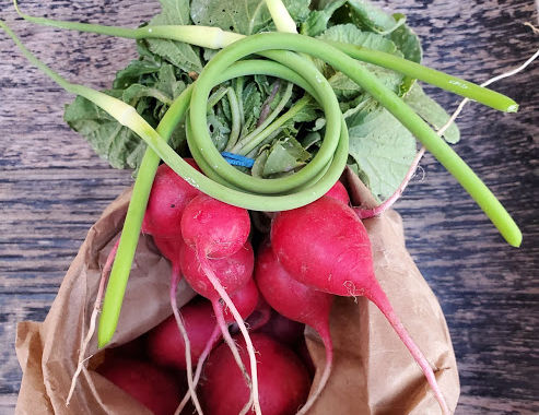 Radishes and Rutabaga