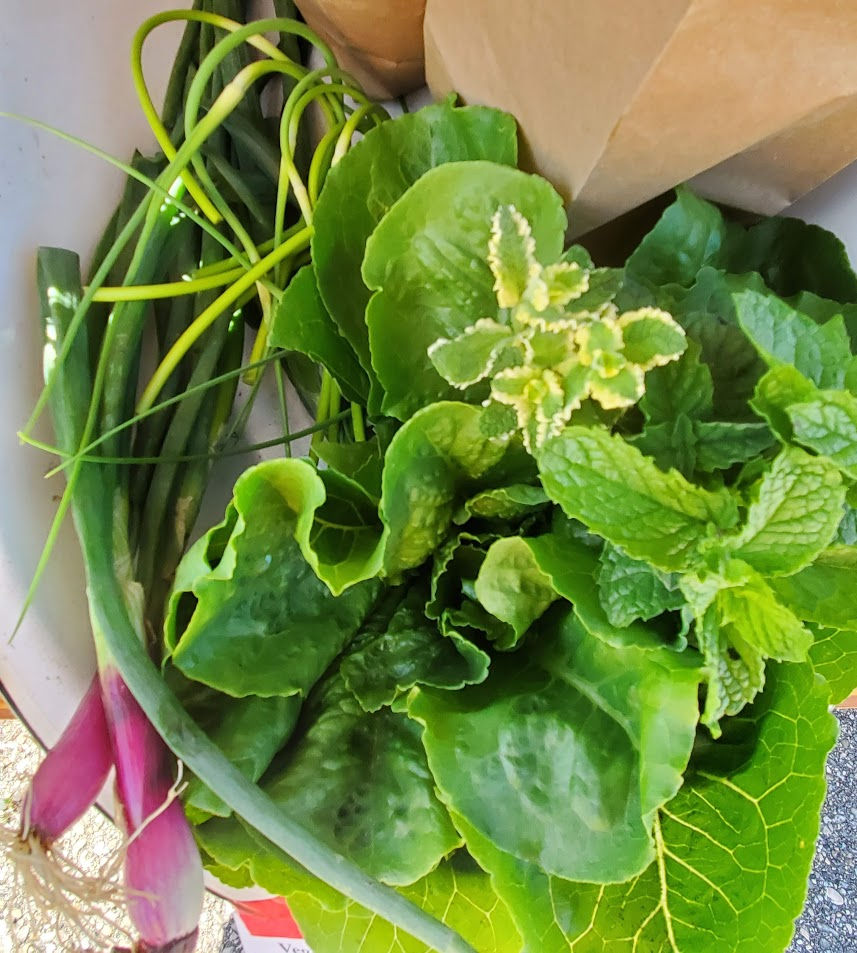 Veggie Plants 2026