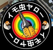 【インセクトショップイモ虫ヤロー】ご紹介コーナー☆