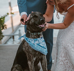 newlyweds photographed with dog wearing scarf with custom watercolor wedding invitations custom toile