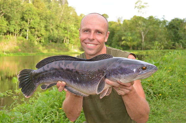 Dean Macey Giant Snakehead