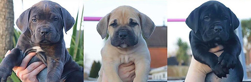 unnamed (4)_edited.jpg