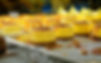 AdobeStock_350933373.jpeg