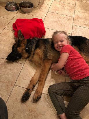 Children and German Shepherd