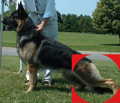 GSD with Overangulation