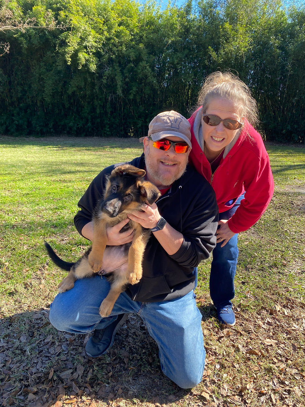 Southernwind German Shepherd Puppies