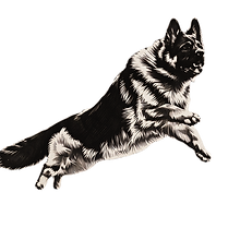 GSD logo from Southernwind