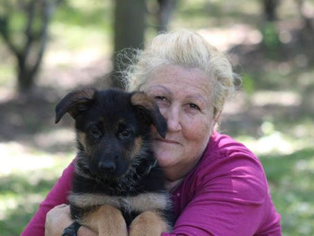 Puppy Temperament and Personality Tests