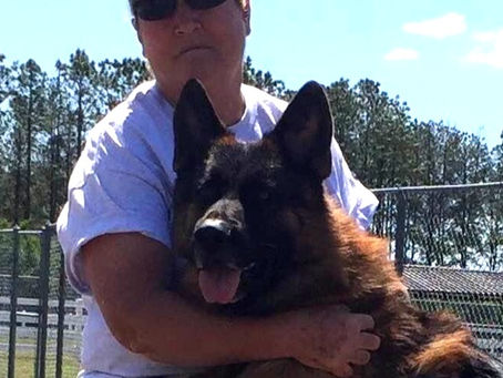 Rules without Relationship Create Rebellion in Dogs