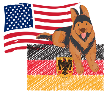 germanamericanflag_edited.png