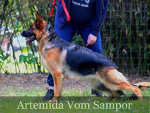 Artemida (40)_edited_edited.jpg