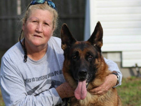 Owning a German Shepherd