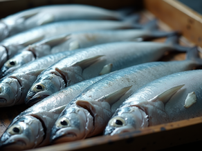 How to Choose Quality Frozen Pacific Mackerel from Japan for Perfect Steaming