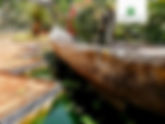 Tour - Vives Verdes and Arazola Tour