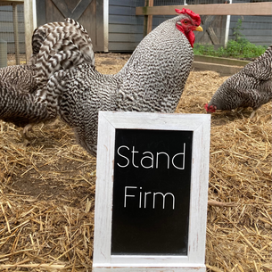 Stand Firm