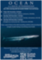 Ocean with David Attenborough