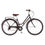 Thumbnail: 2025 Probike Vintage