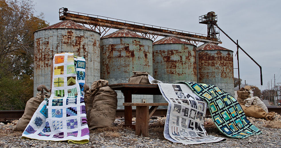 Thumbnail: Tula Pink's City Sampler: 100 Modern Quilt Blocks Book