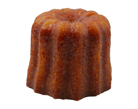 canele seul 500 article corrigé.png