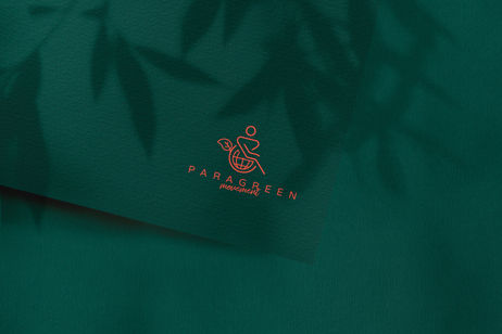 20240819-Paragreen