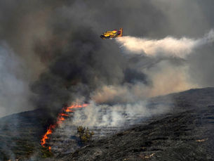Greece's Tourism Industry on Fire: Wildfires Force Cancellations, Refunds, and Calls for Reform