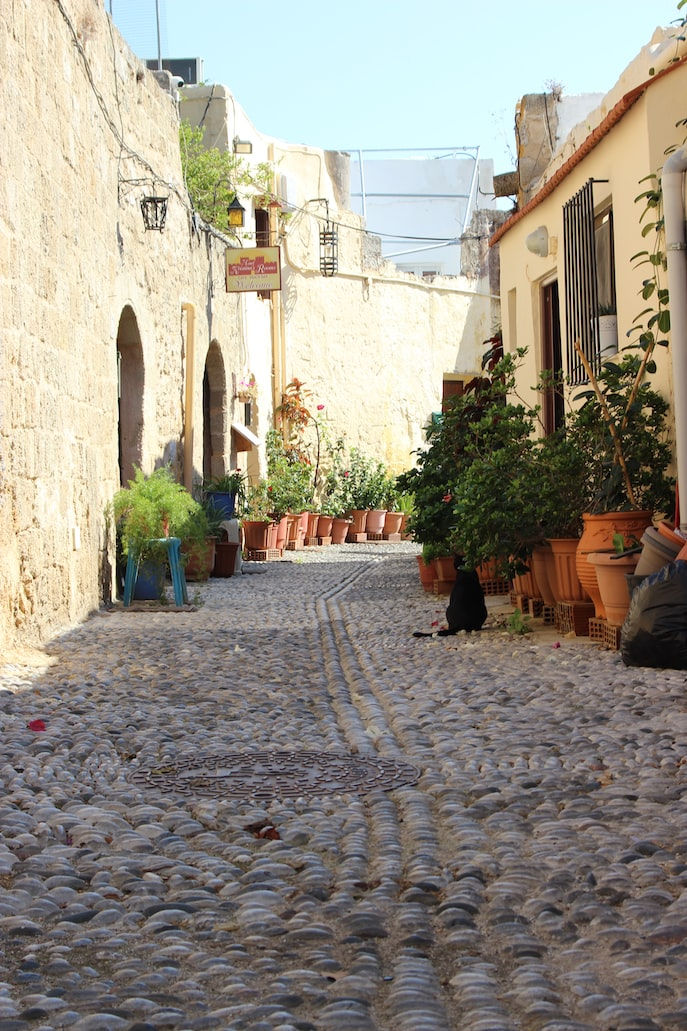 A narrow cobblestone street with colorful potted plants lining both sides and traditional buildings in the background.