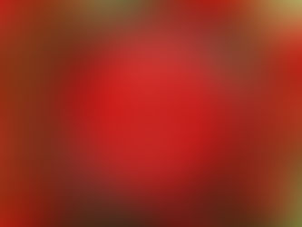 Receita de Famiglia: como deixar seu molho vermelho caseiro especial