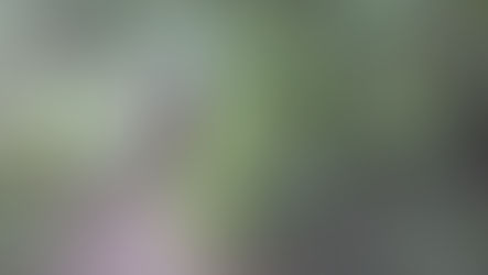 Tip´s de Autogestión