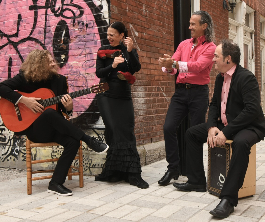 mirada flamenca__web_860x720-std.png