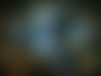 Animism: What Was Lost