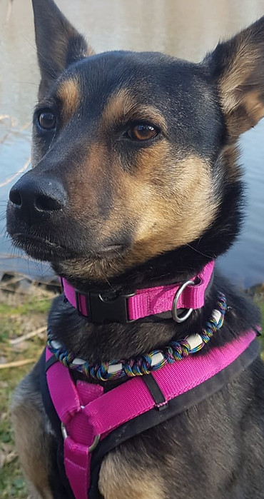 WhatsApp Image 2021-03-13 at 20.49.18.jp